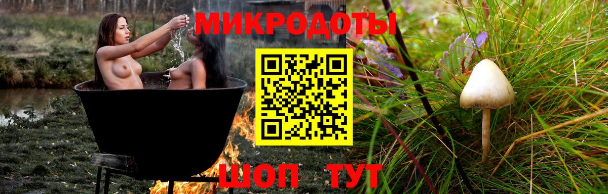 Псилоцибиновые грибы мухоморы  Галлюциногенные грибы Psilocybine cubensis  Губкин  Вход с VPN 