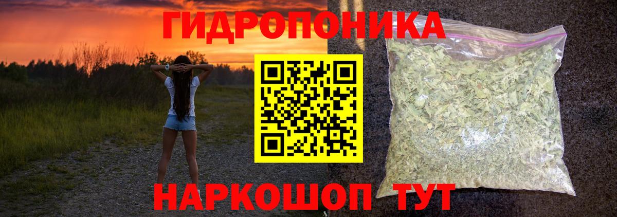 Шишки марихуана ГИДРОПОН  Бошки Шишки ГИДРОПОН  Шишки марихуана план  Вход с VPN  Губкин 